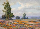 California Canvas Paintings - California 4